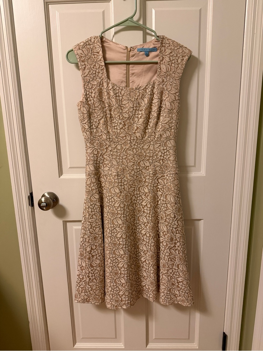 Antonio Melani champagne/blush cocktail lace dress